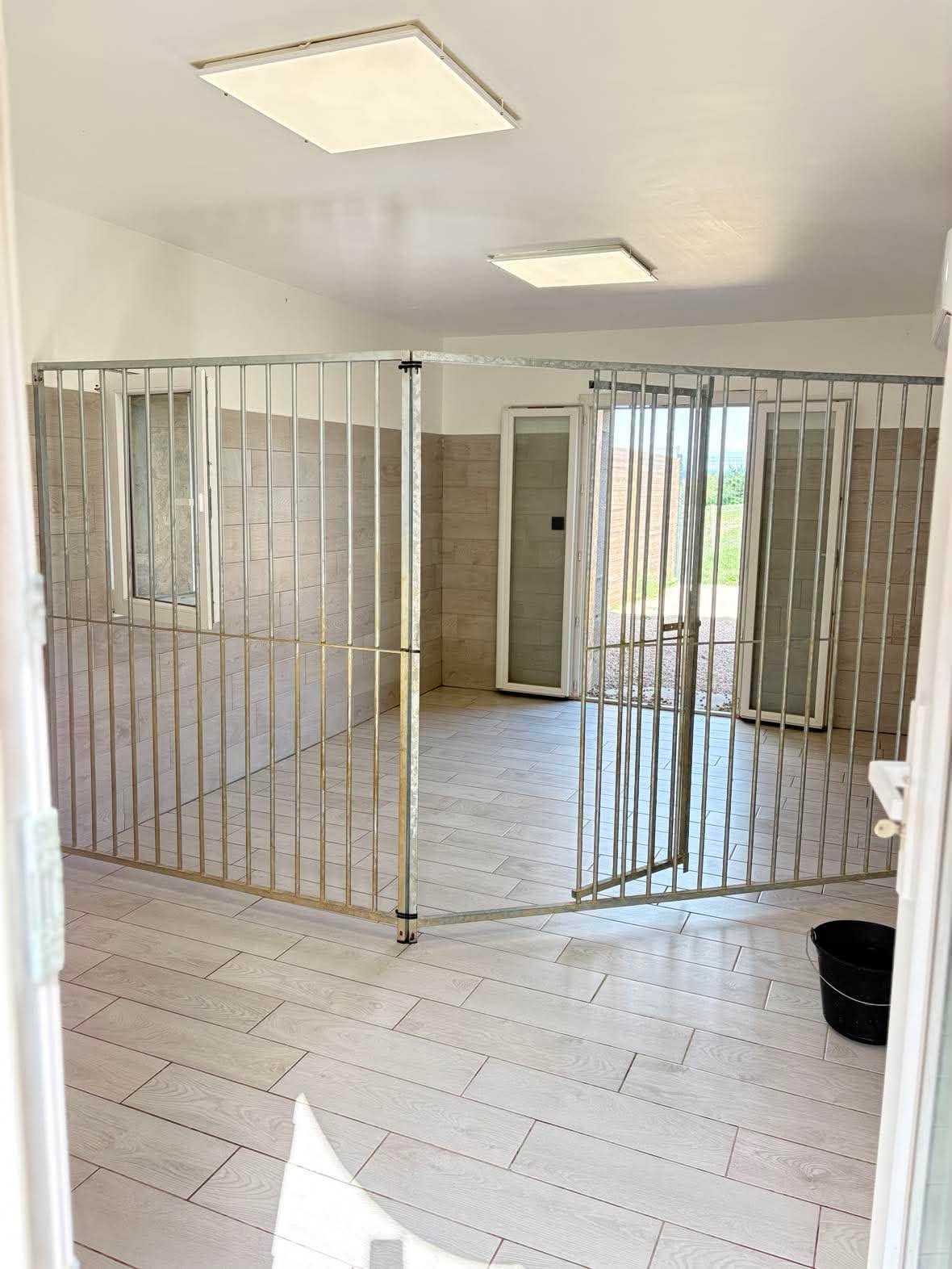 Espace intérieur aménagé pour les chiens